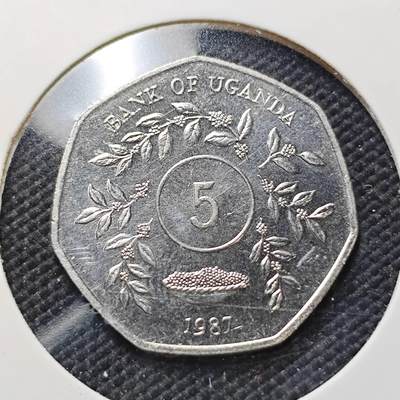 KK钱币收藏小铺  第415期 2月预留时间 周末发货 1987乌干达5先令