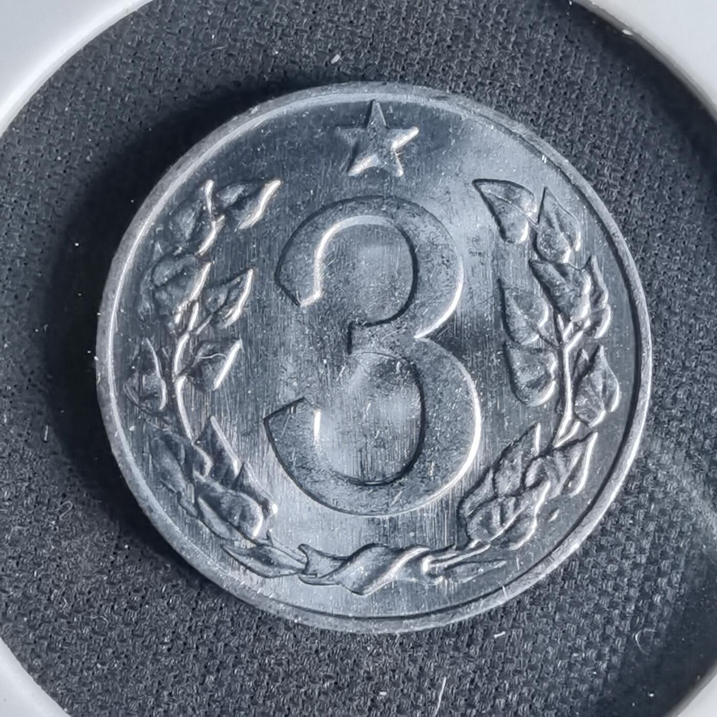 沼泽如烟--第1041场