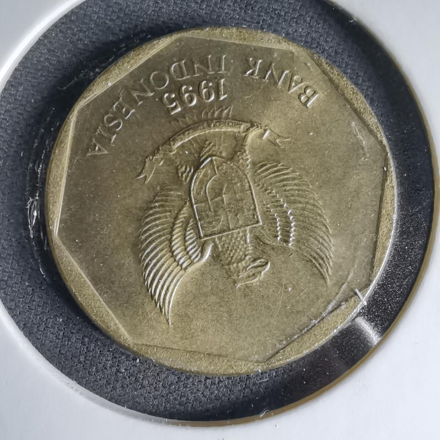 沼泽如烟--第1041场