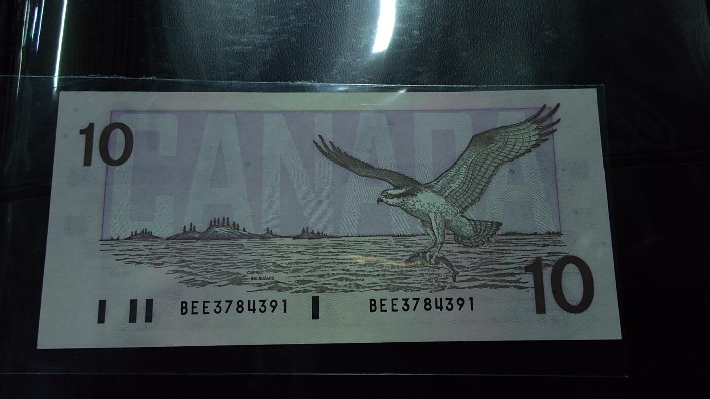 世界钱币～微拍第243期暨2026年第24期  老库存每款各1-2张清仓低价起拍 1989年加拿大10元 鸟版全新绝品带4尾号391