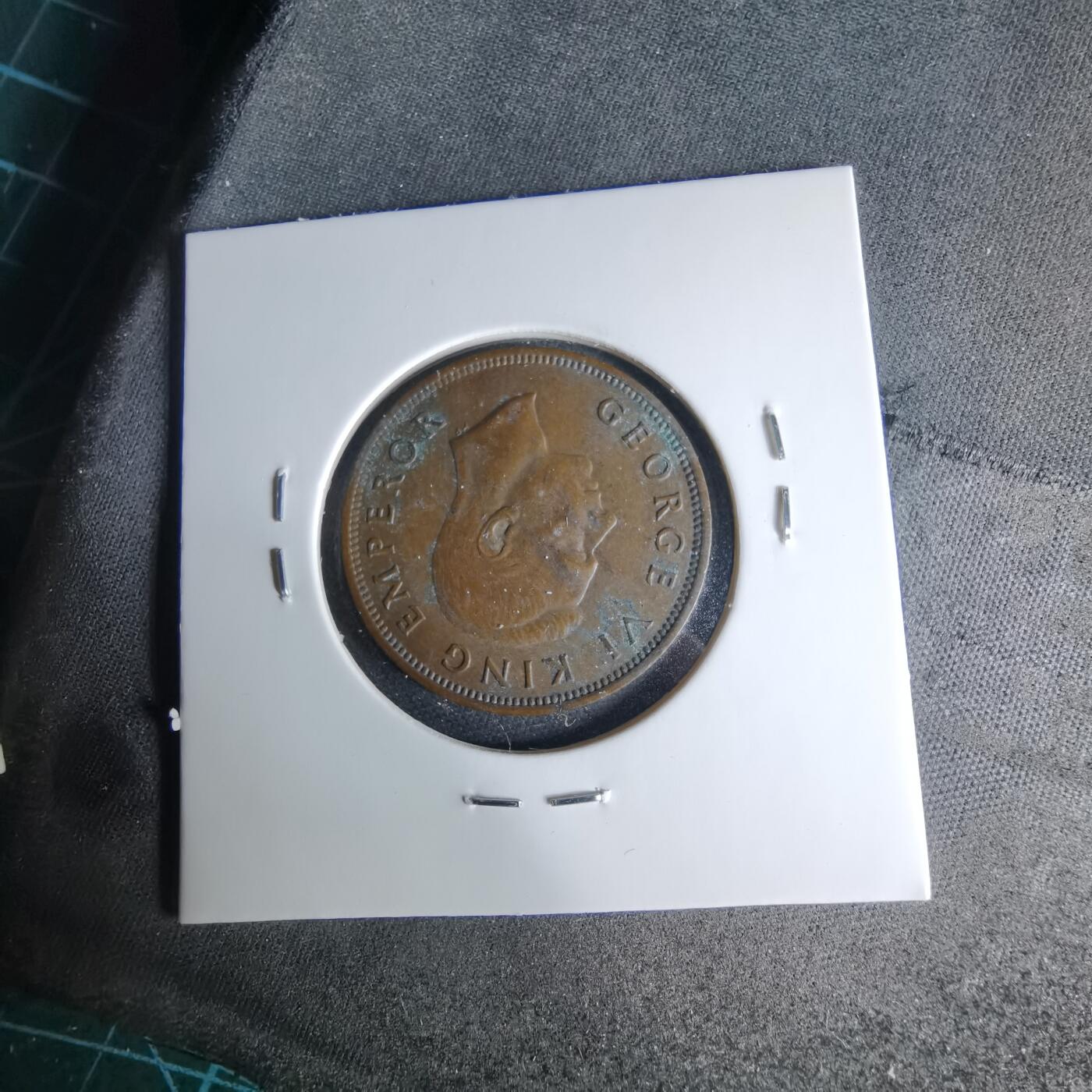 沼泽如烟--第1041场