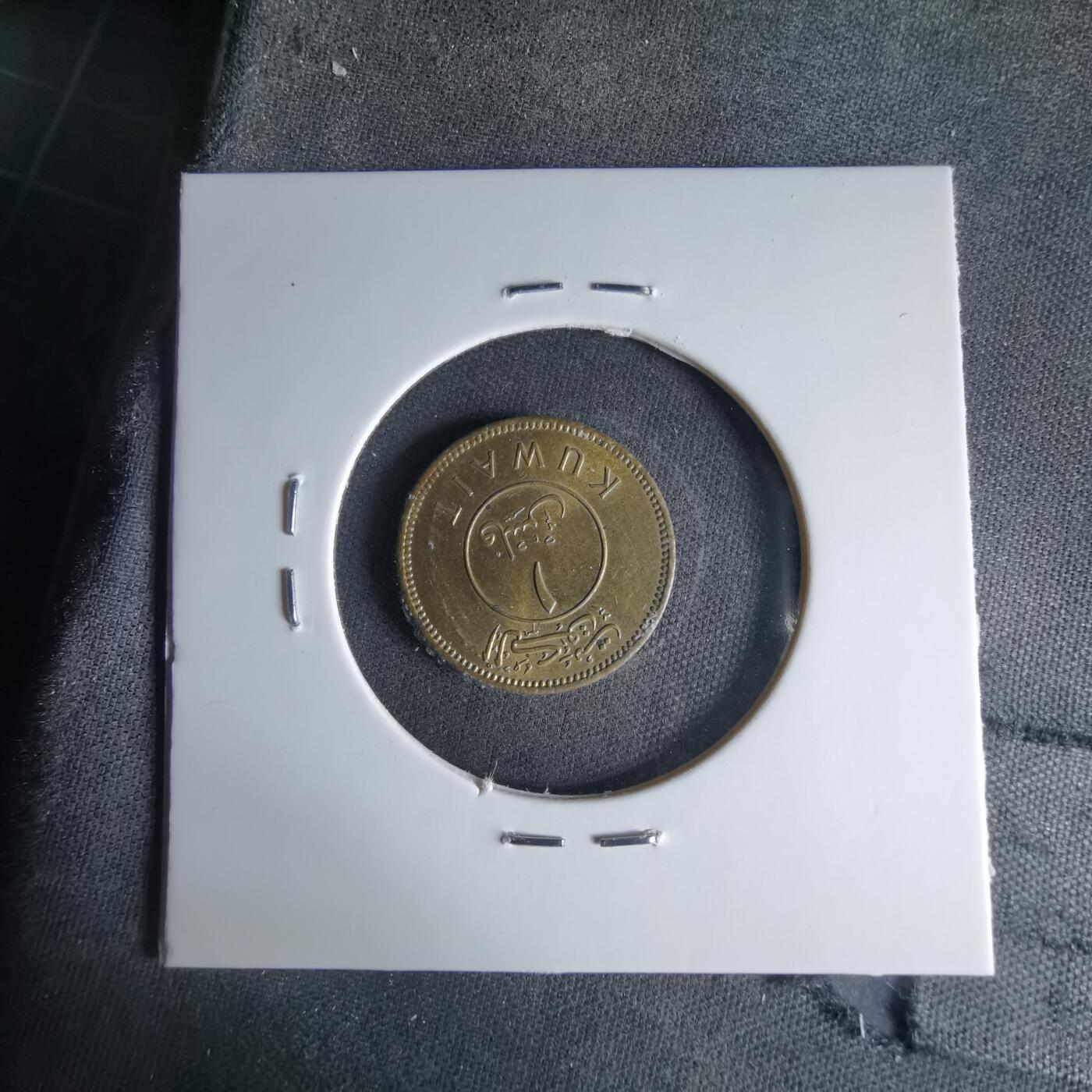 沼泽如烟--第1041场 科威特