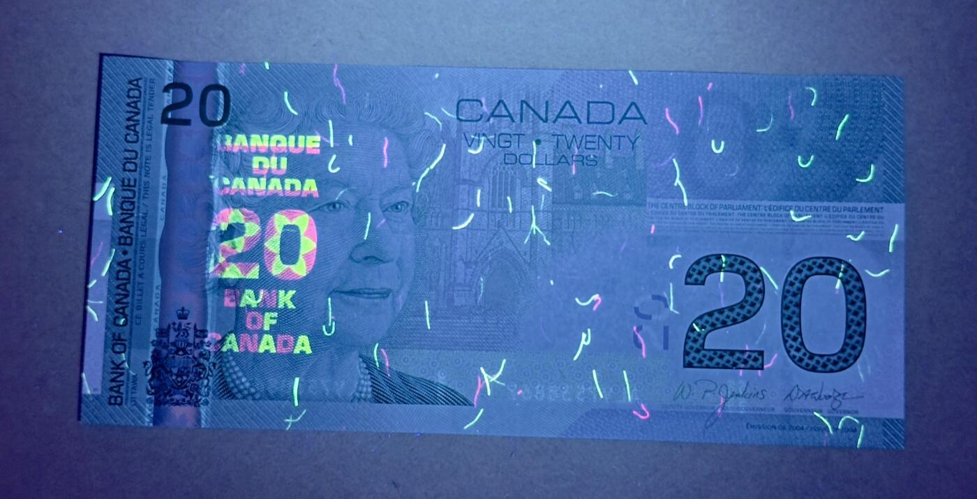 【礼羽收藏】🌏世界钱币拍卖第131期 加拿大旅版20元双尾（注意：背面下方是2004年初版