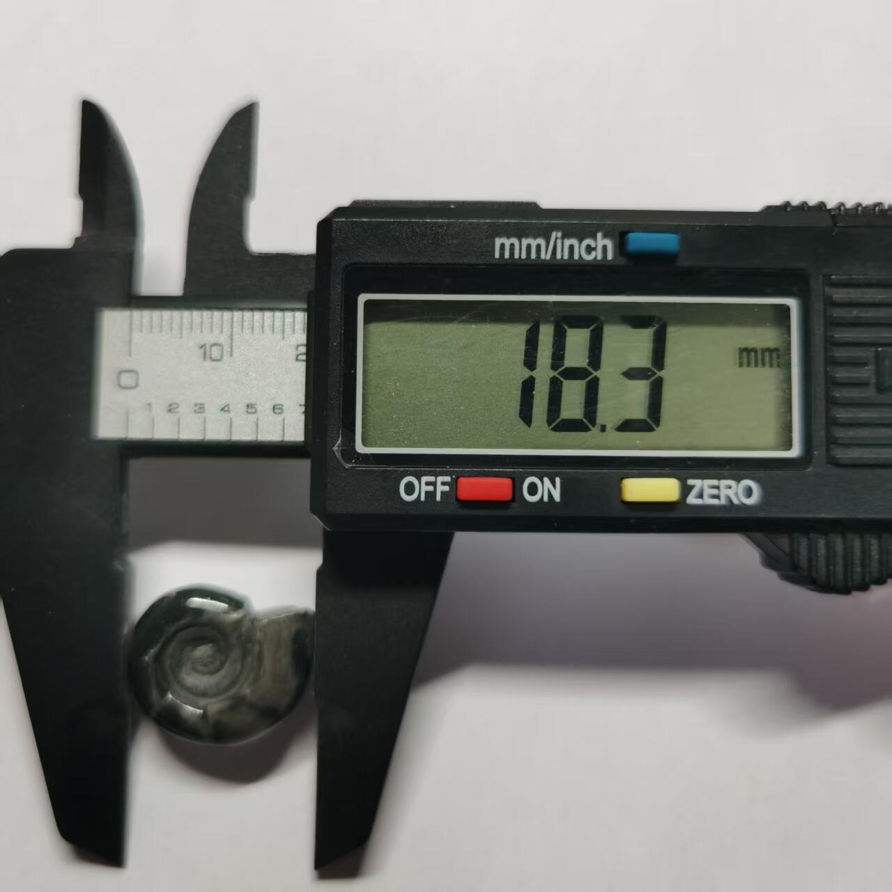 七河·水晶矿标化石杂件小拍（总第43期）（周四结标） 藏家出品X801（2）马达加斯加中生代菊石化石