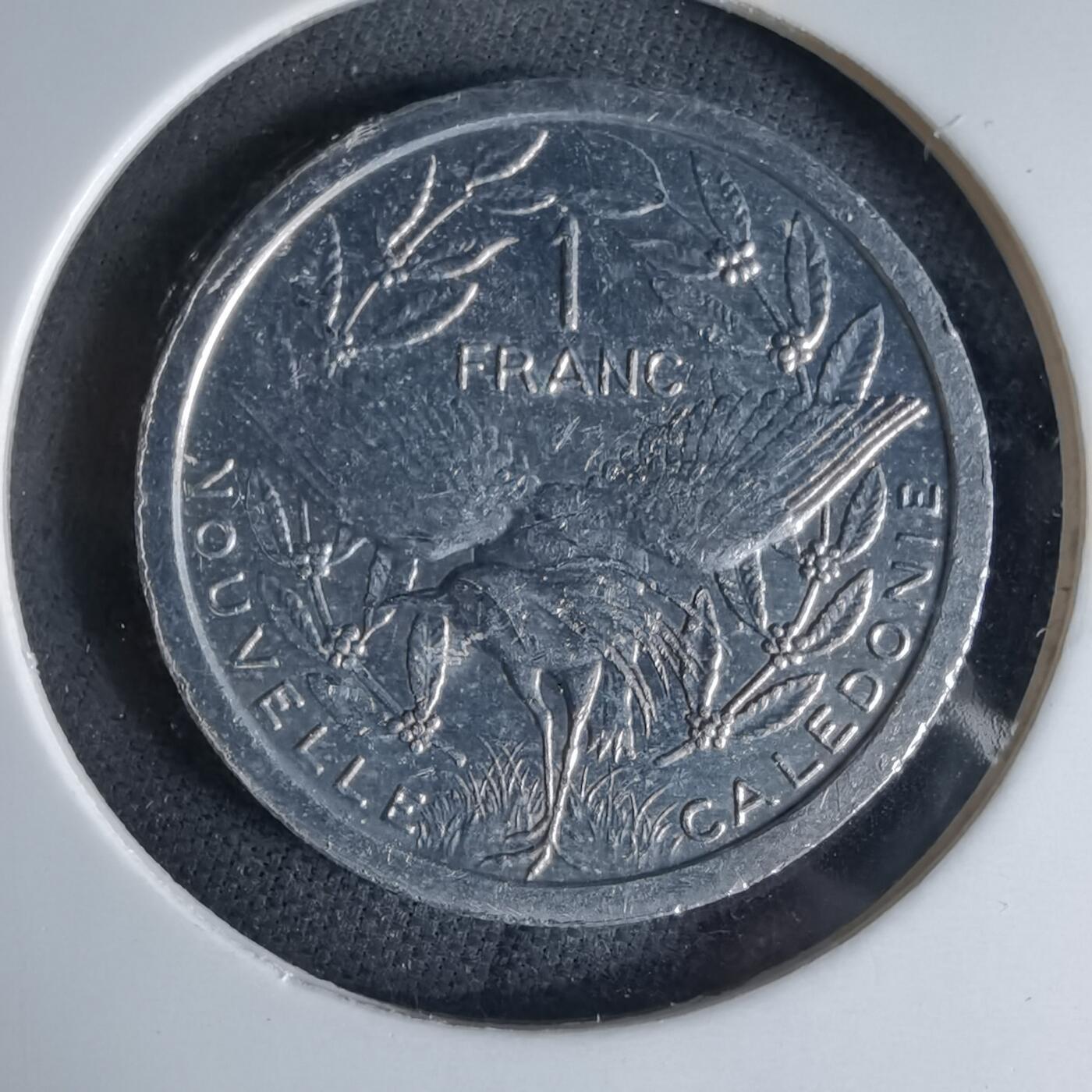 沼泽如烟--第1041场