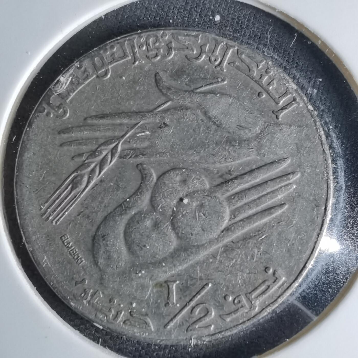 沼泽如烟--第1041场