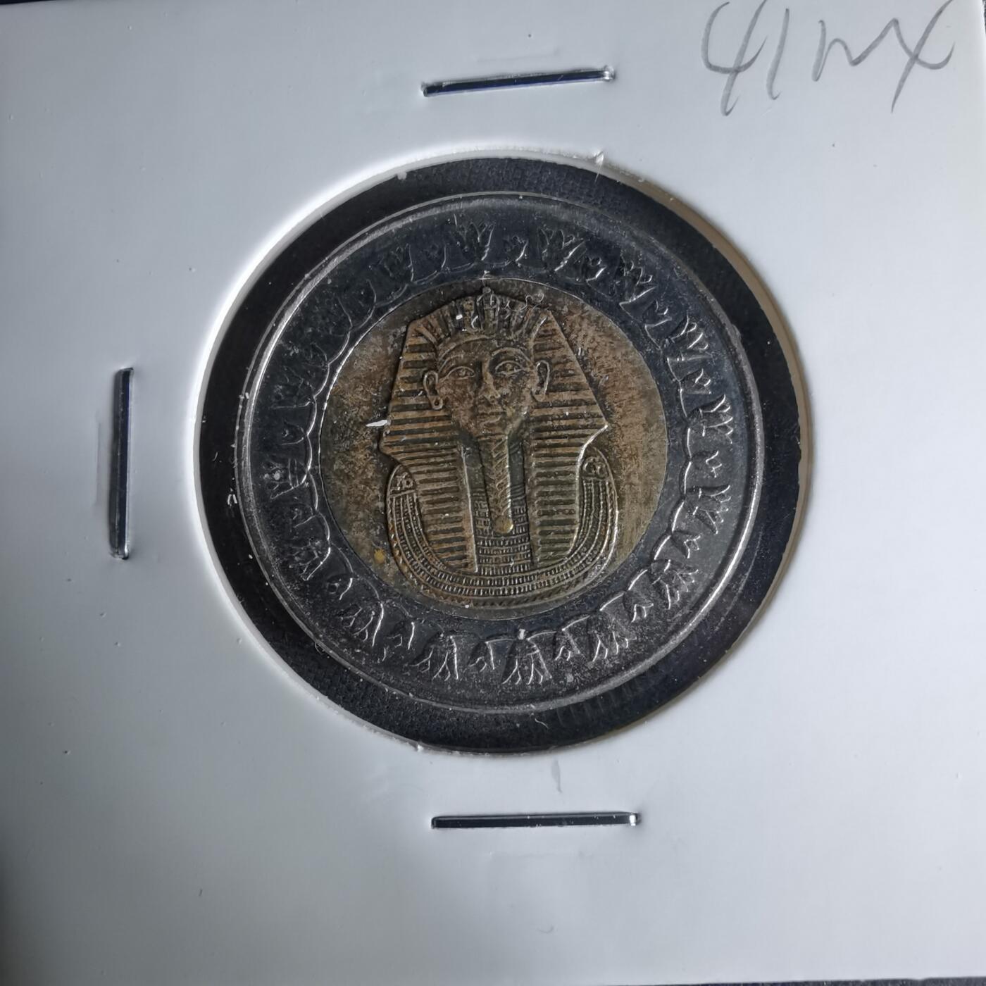 沼泽如烟--第1041场 埃及