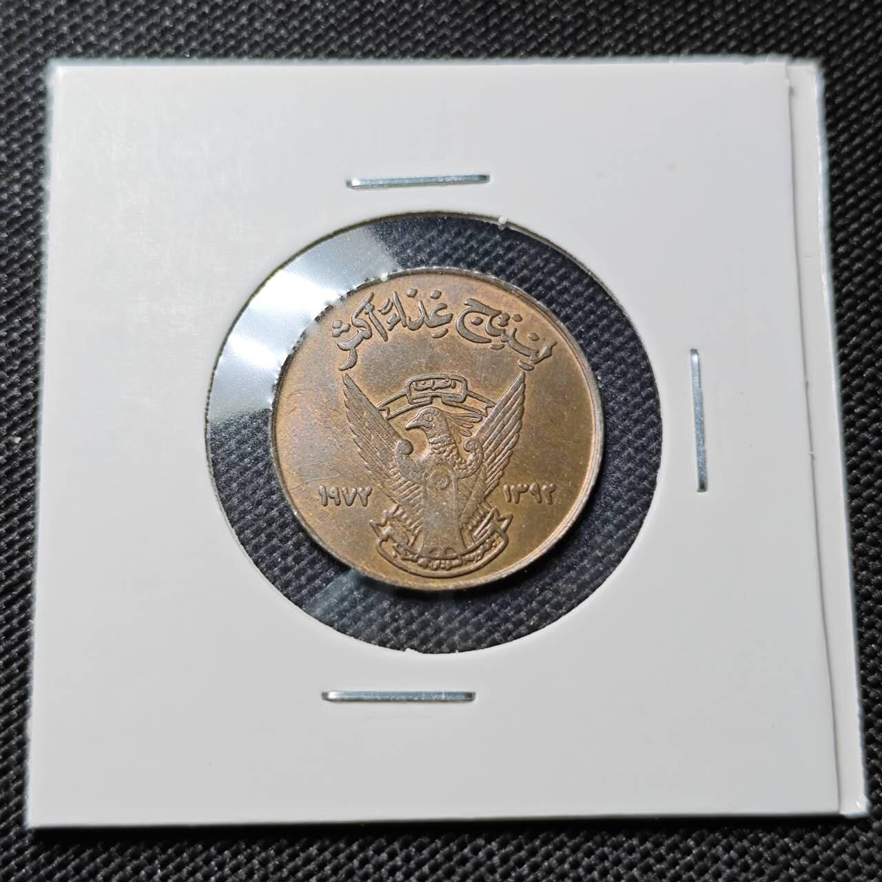 KK钱币收藏小铺  第417期 2月预留时间 周末发货