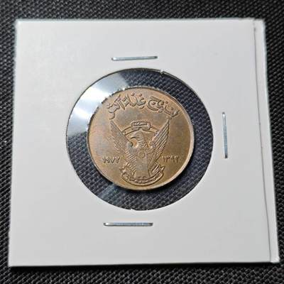 KK钱币收藏小铺  第417期 2月预留时间 周末发货 苏丹5米利姆 