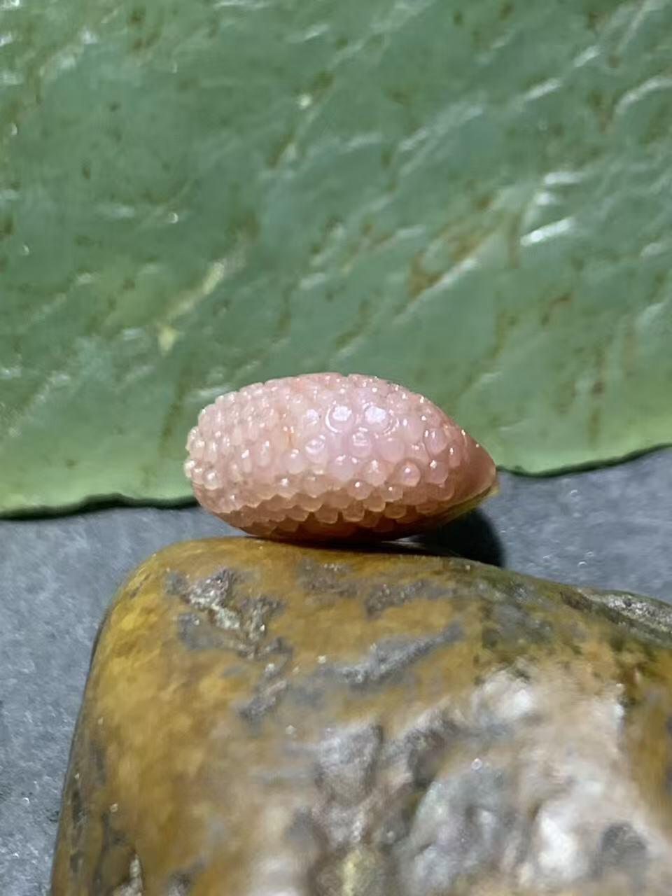 精美亚光盐源玛瑙手工雕刻蟹钳“有钱”吊坠一颗，