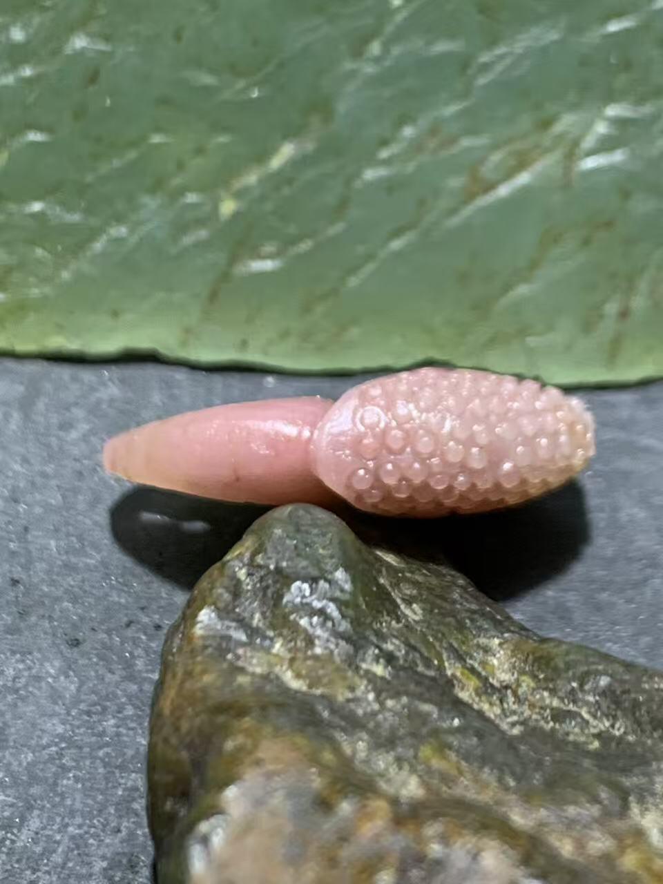 精美亚光盐源玛瑙手工雕刻蟹钳“有钱”吊坠一颗，