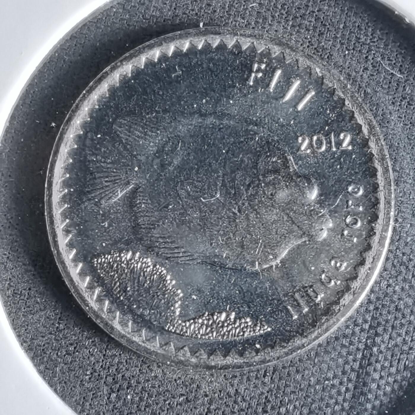 沼泽如烟--第1041场