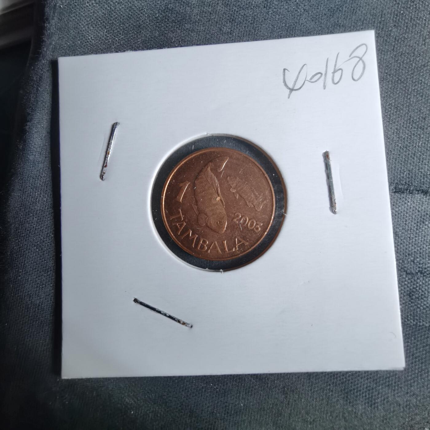 沼泽如烟--第1040场 马拉维2003年1坦巴拉