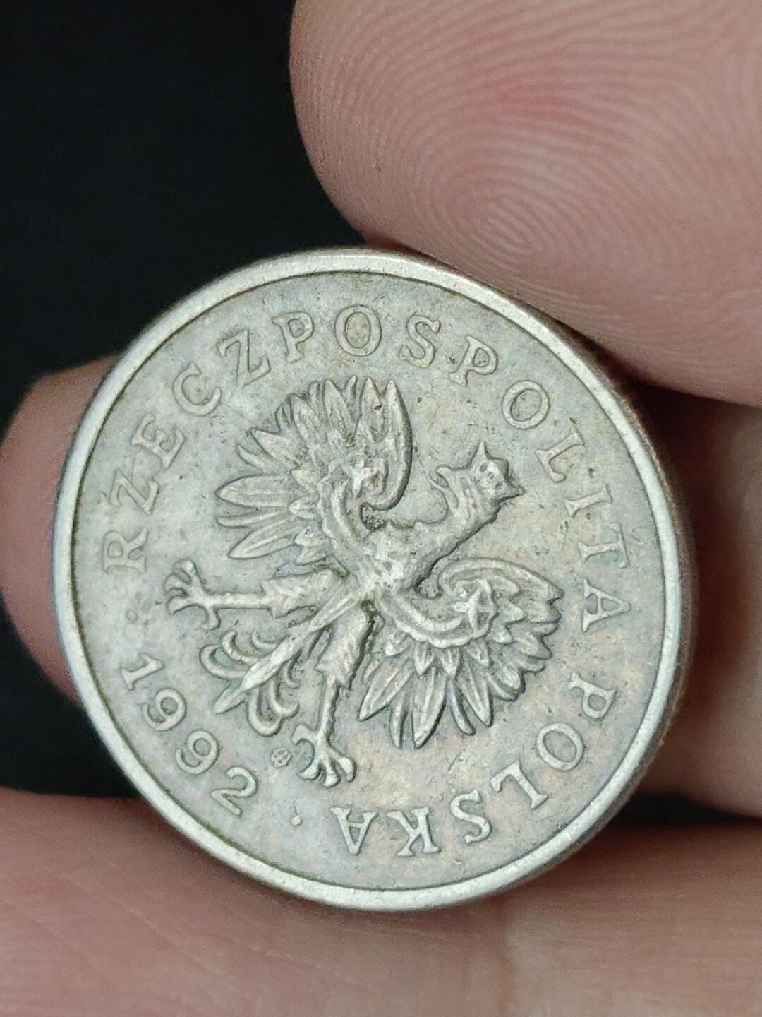 猩哥外币小铺➨【第227场】 波兰