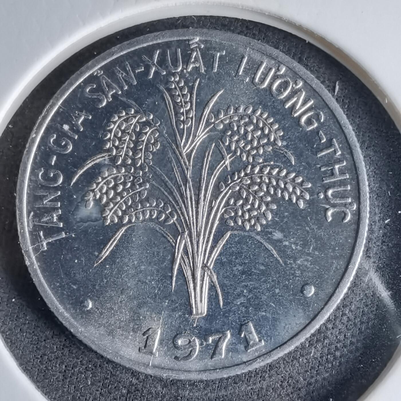 沼泽如烟--第1041场