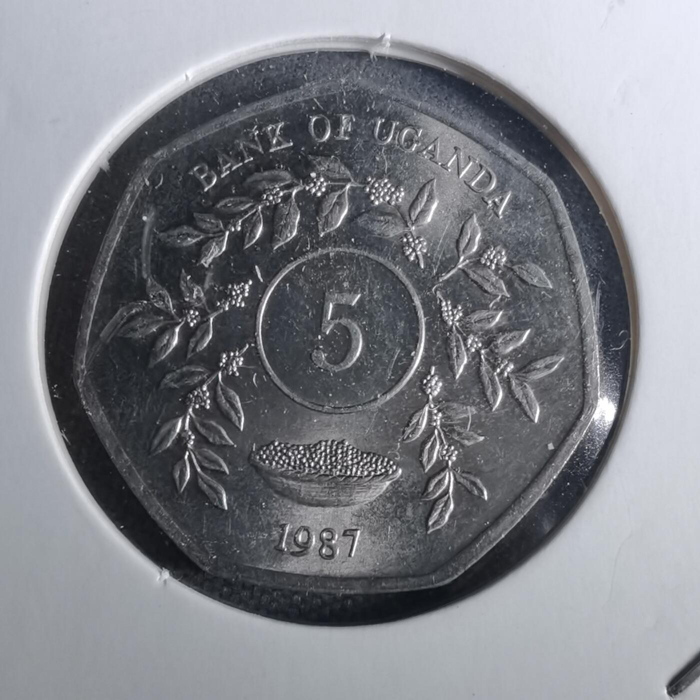 沼泽如烟--第1040场