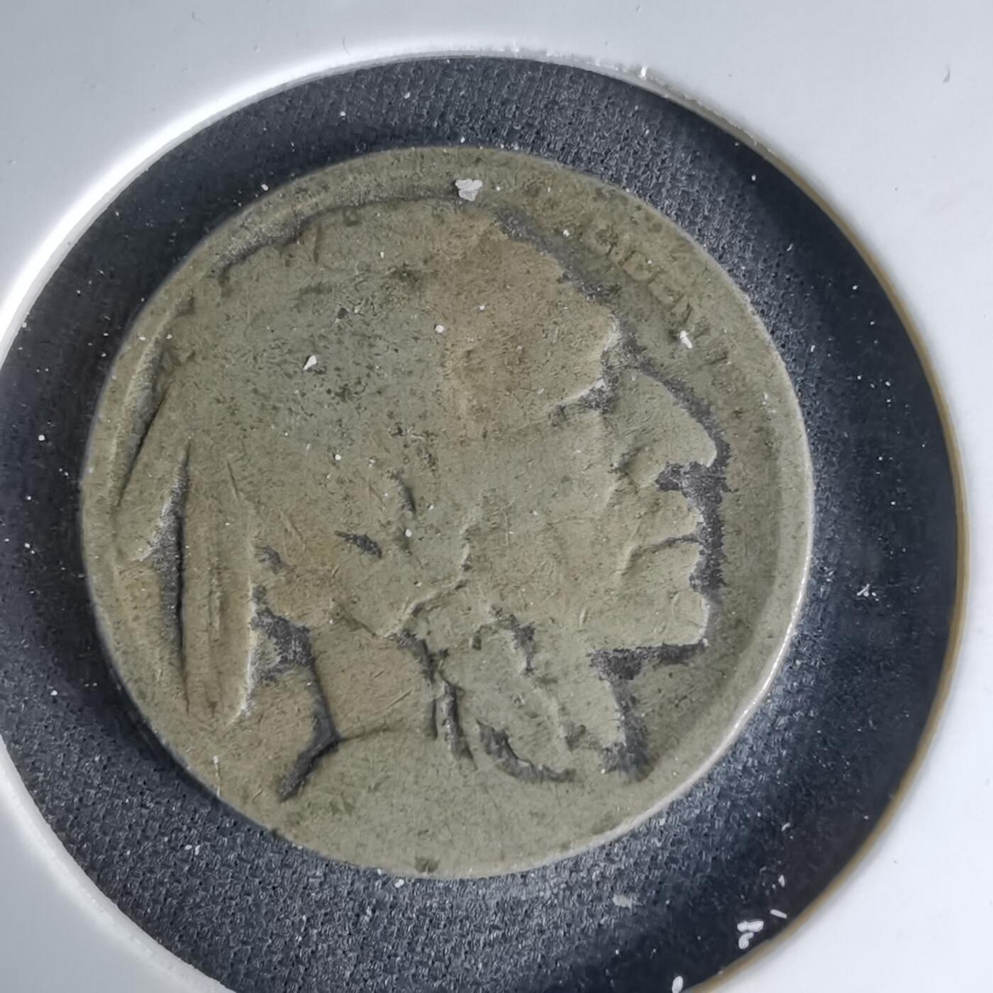 沼泽如烟--第1041场 美国野牛五分