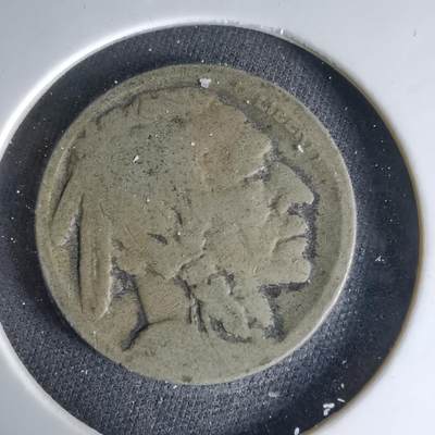 沼泽如烟--第1041场 - 美国野牛五分