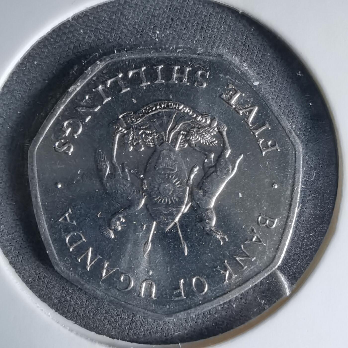 沼泽如烟--第1041场