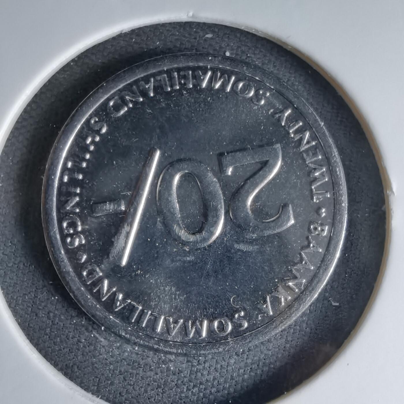 沼泽如烟--第1041场