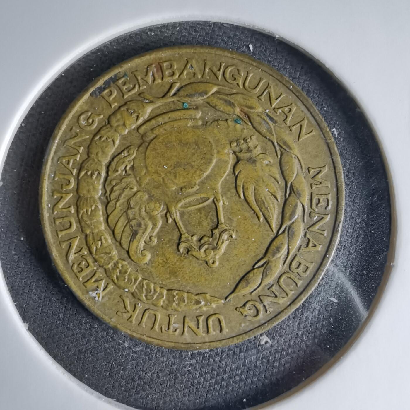 沼泽如烟--第1041场