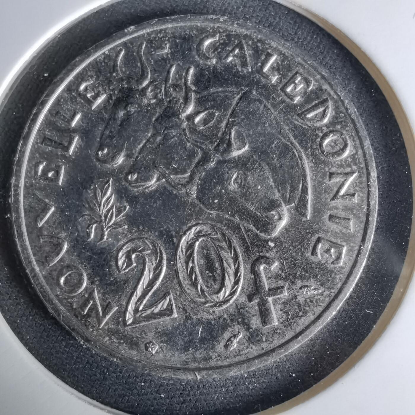 沼泽如烟--第1041场