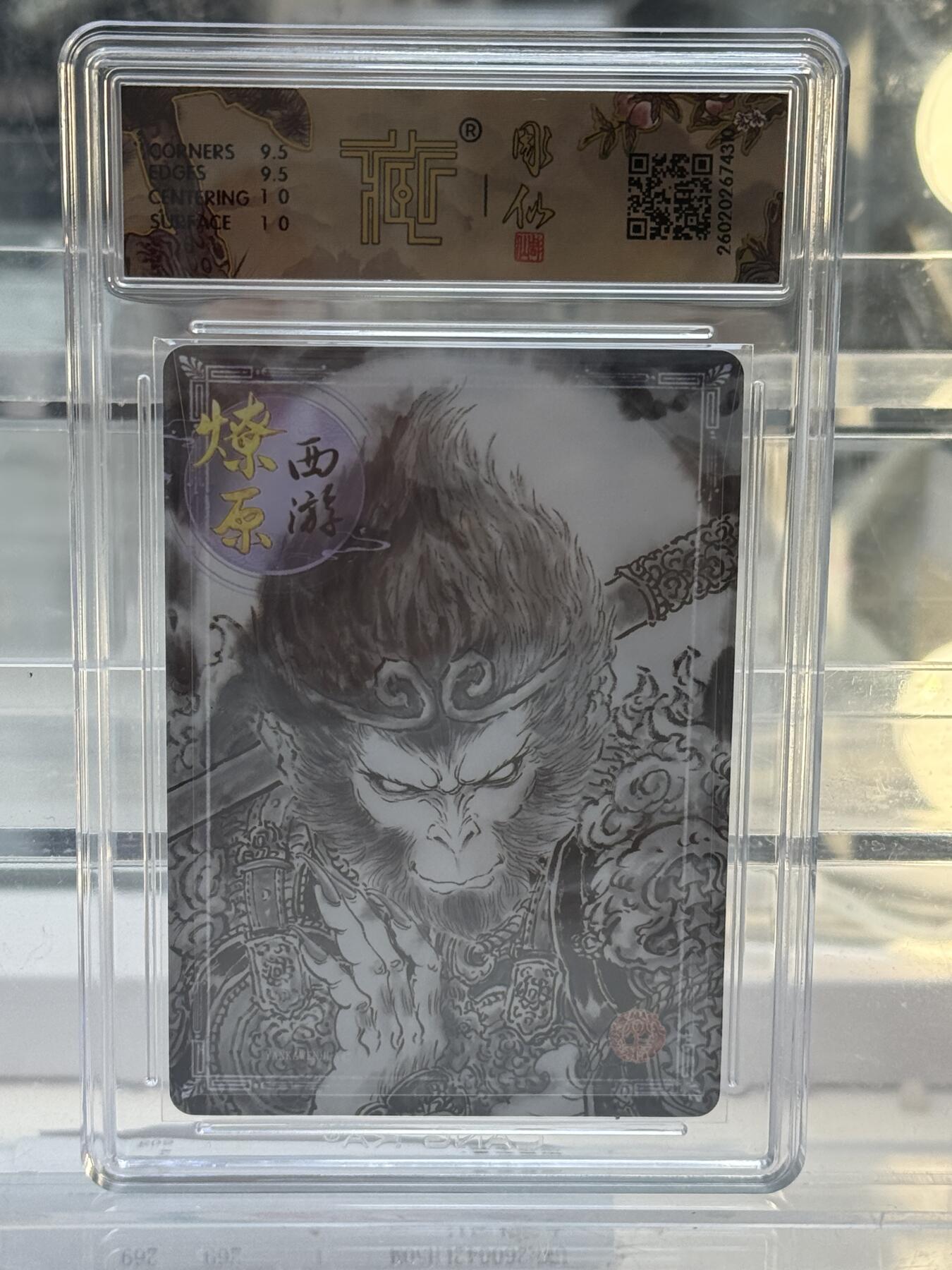 大麦马年第一场