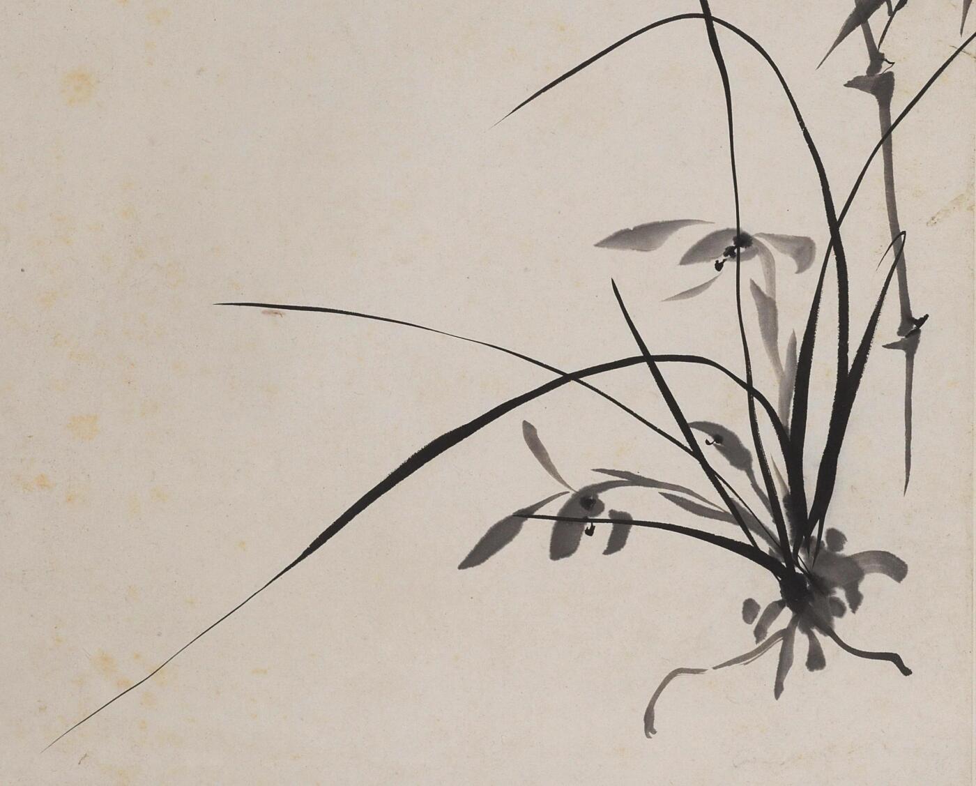 碧月说宝 近现代书画专场（八）