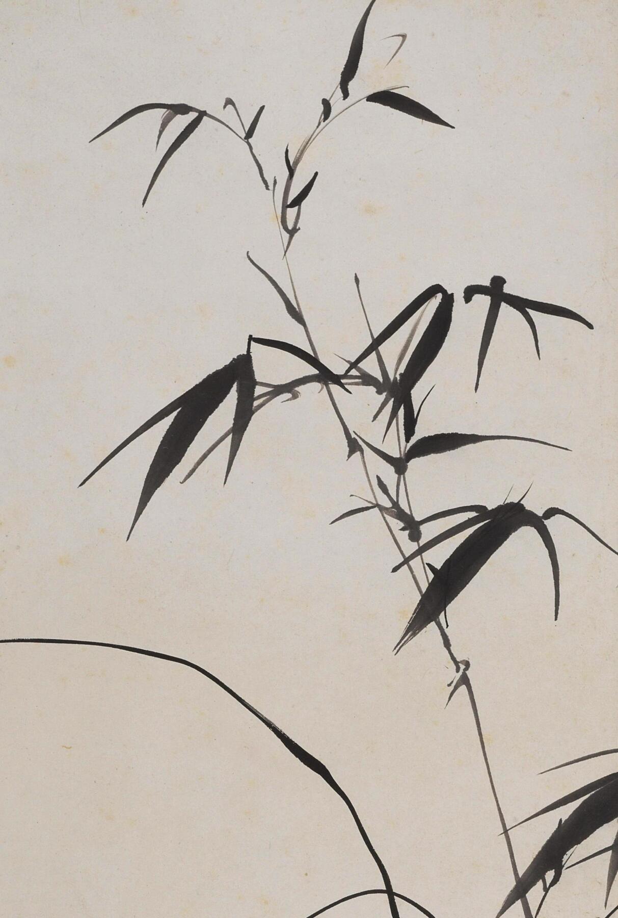 碧月说宝 近现代书画专场（八）