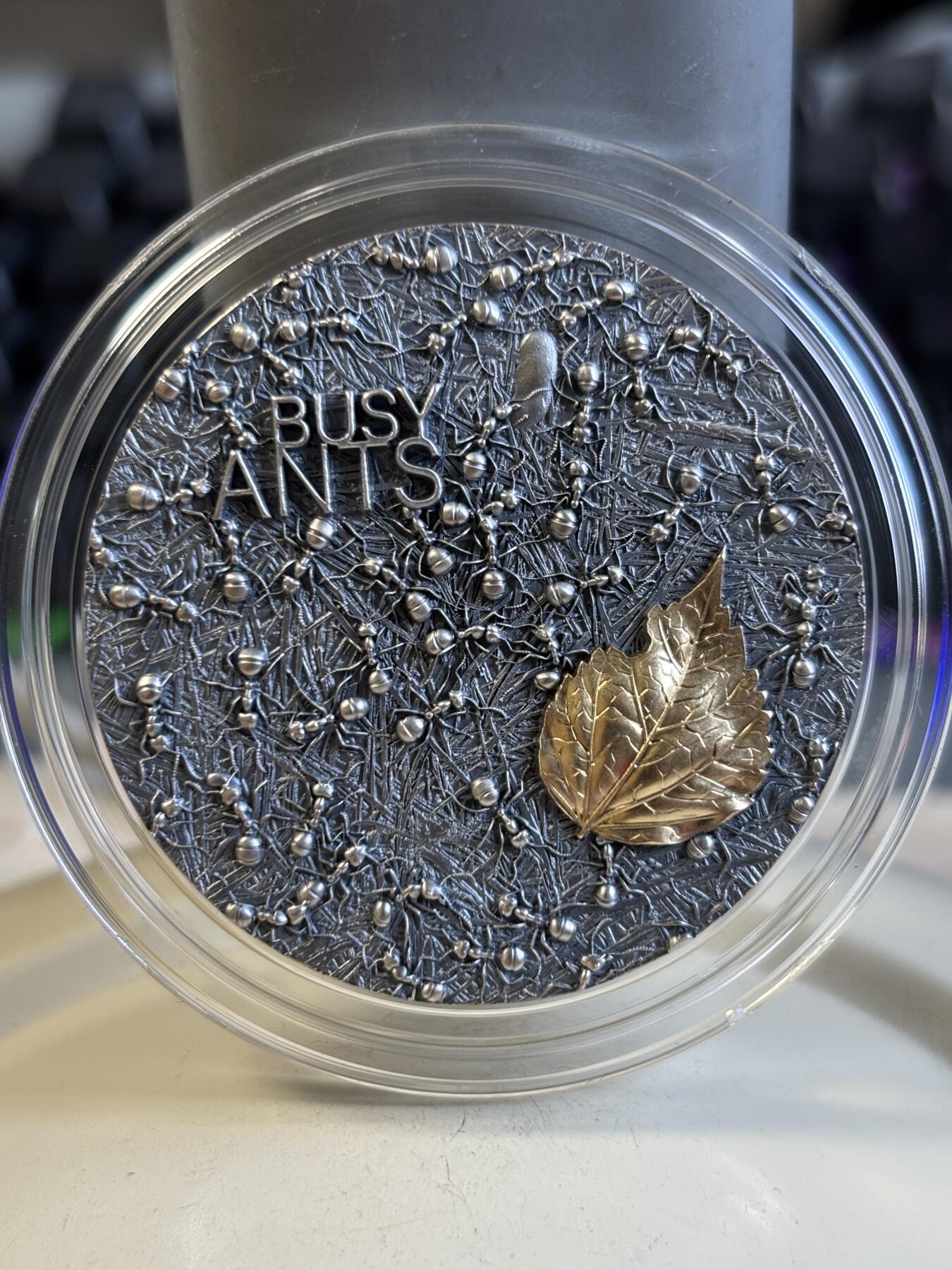 第196期拍卖 加纳2022年忙碌的小蚂蚁2盎司镀金仿古纪念银币，999银镀金，发行500枚