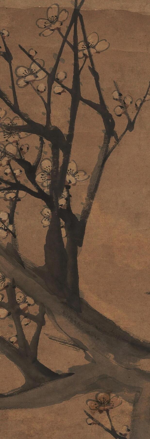 碧月说宝 近现代书画专场（八）