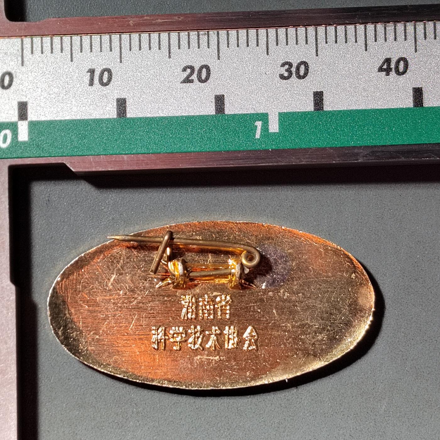 PCAI钱币  3-796 纪念章 钱币小专场 湖南科协