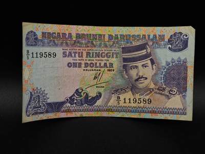  【淘币小摊】限时拍第八百八十九拍   散币套币纸币邮品场    每周一统一发货 - 马来西亚1林吉特纸币【有折】