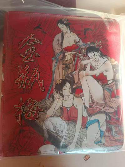 龙虎卡牌-八一场（满200元包邮，无佣金，每周六结拍，欢迎送拍） - 【卡册】超吉梦 - 金瓶梅主题九宫拉链卡册 (无卡页)