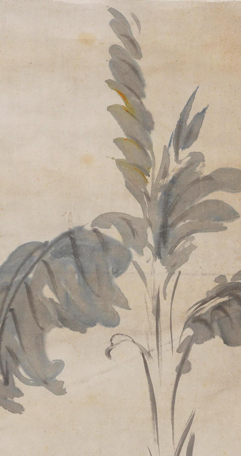 碧月说宝 近现代书画专场（七） 王师子 蕉荫月季