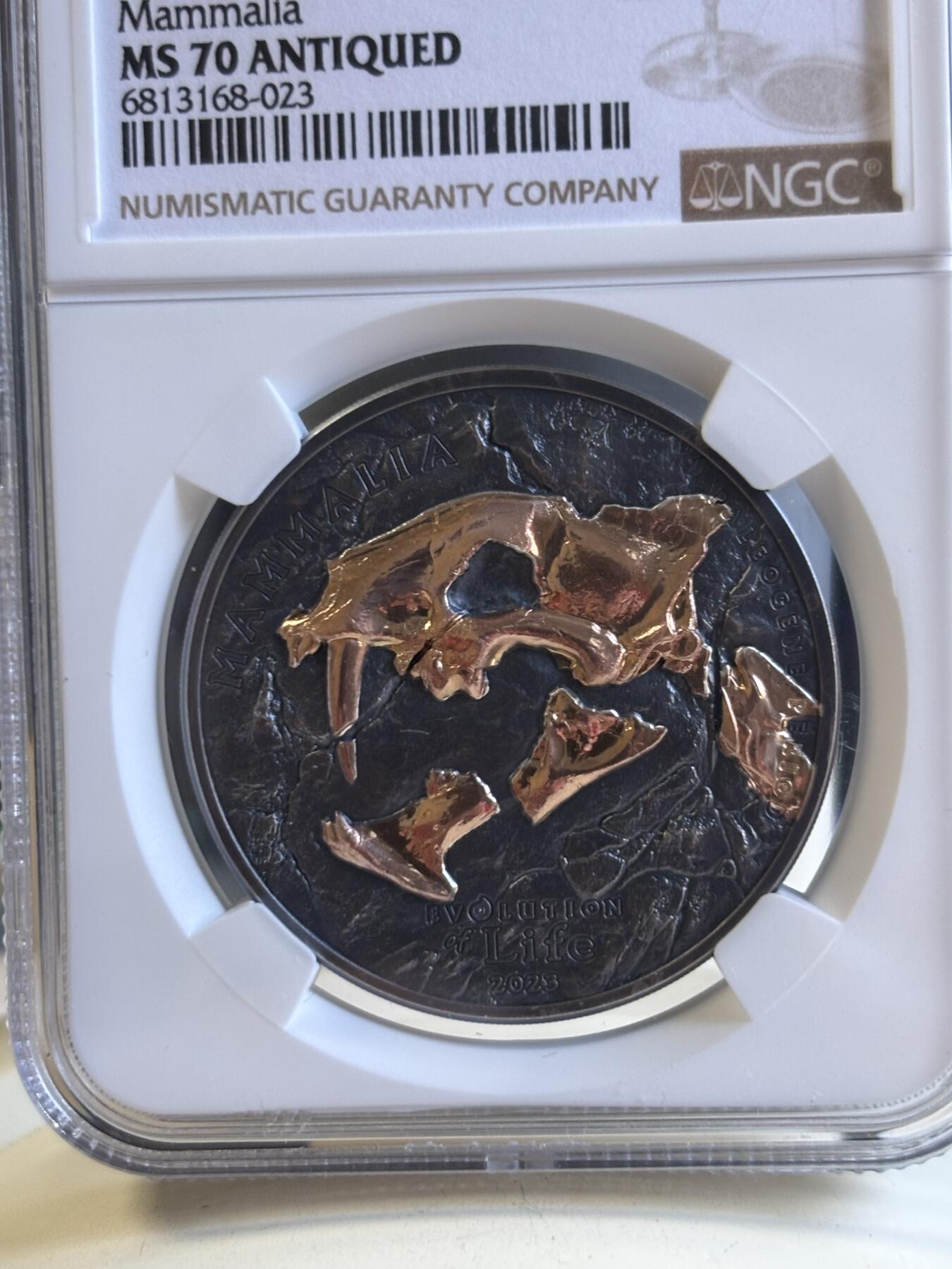 第196期拍卖 蒙古2023年进化系列9猎猫科1盎司仿古镀金纪念银币NGC-MS70,9999银，发行999枚