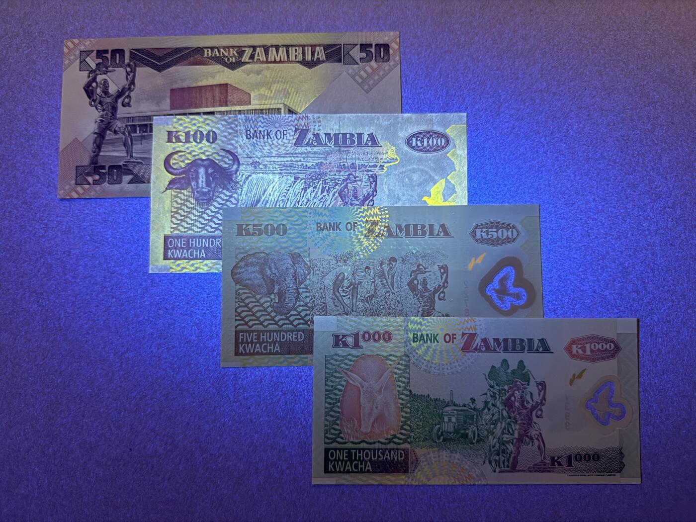 《愛美收藏》第239期-4.5周日外币黄金场  赞比亚4张 UNC 不同面值4张 100的边缘荧光