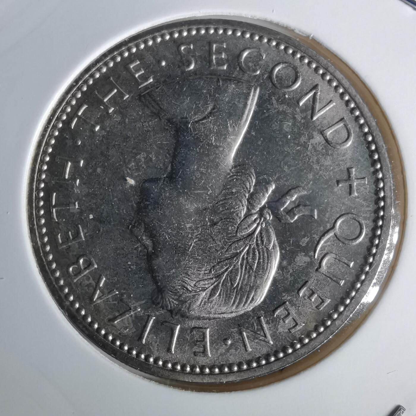 沼泽如烟--第1043场