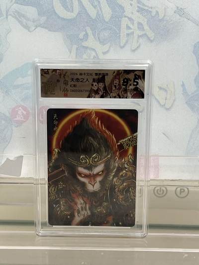 麦趣喜第四场 新品尝鲜专场 (4月2号周四晚上22点截拍，专注买家市场，福利拉满)  - 焱卡西游4 天命人 幻彩 9.5