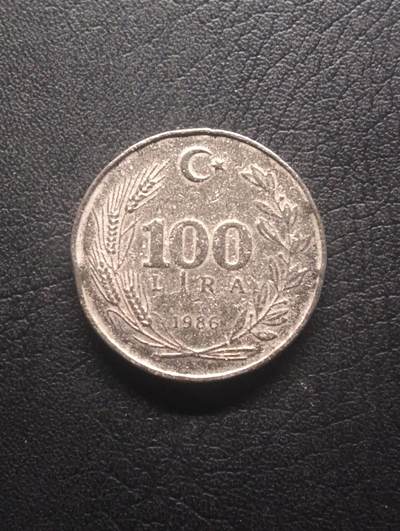 荟藏特别场次第十四期——“社长的硬币堆” - 土耳其1986年100里拉 早期温和通胀产物