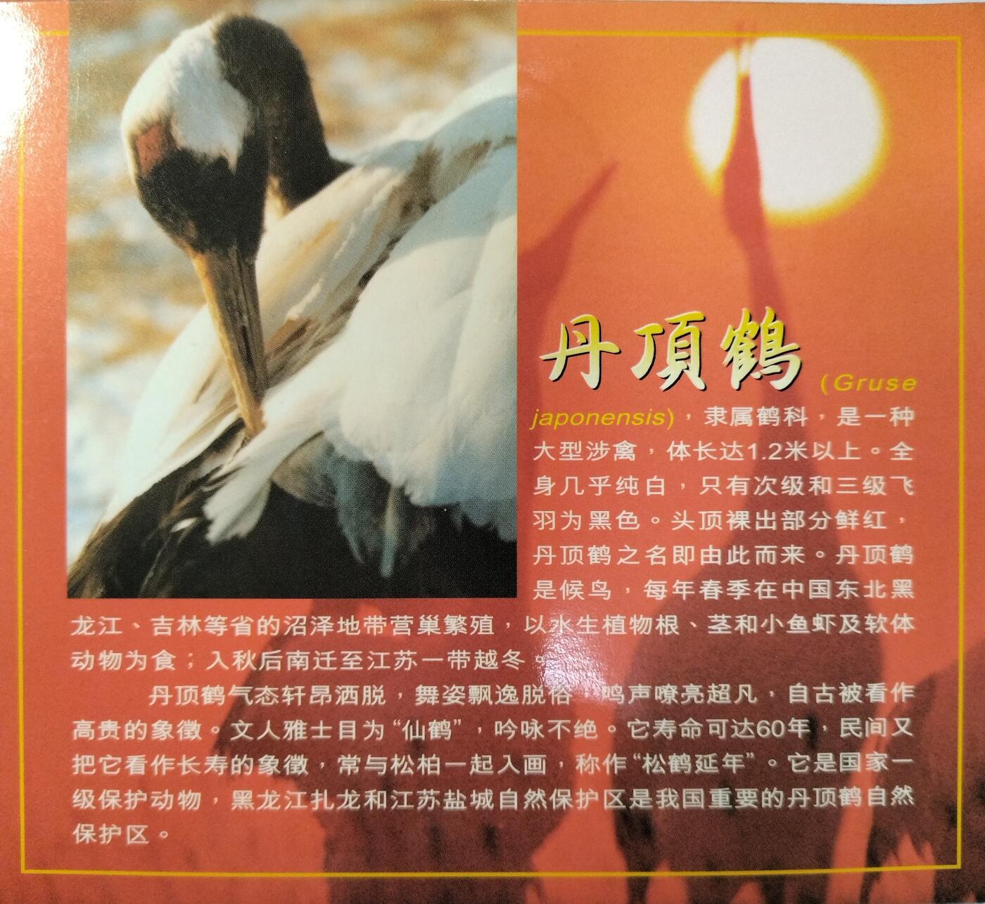 1997年丹顶鹤纪念币，康银阁装帧卡册，紫铜合金，面值5元，沈阳造币厂，直径32mm，重13.5g，厚度2.2mm。币面有轻微氧化，整体成色很不错。中国人民银行发行，限量58万套，每套一枚。适合收藏，按图发货！