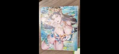 阳大大卡牌拍卖第107期（持续收拍品，周五晚上九点截拍，进群福利早知道） - 【官方卡册】砖家 艳绝西游 九宫拉链收藏册