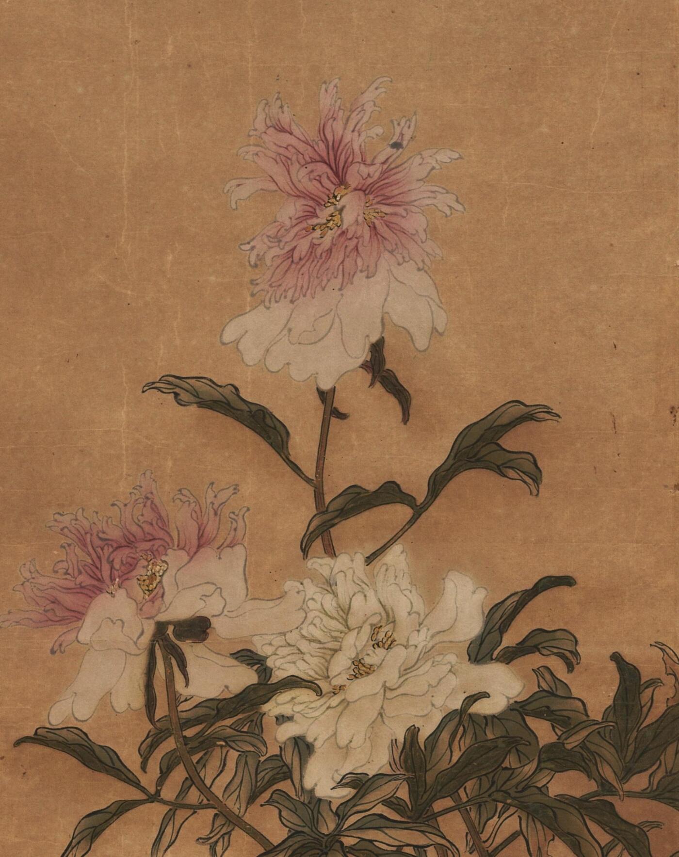 碧月说宝 近现代书画专场（六） 牡丹