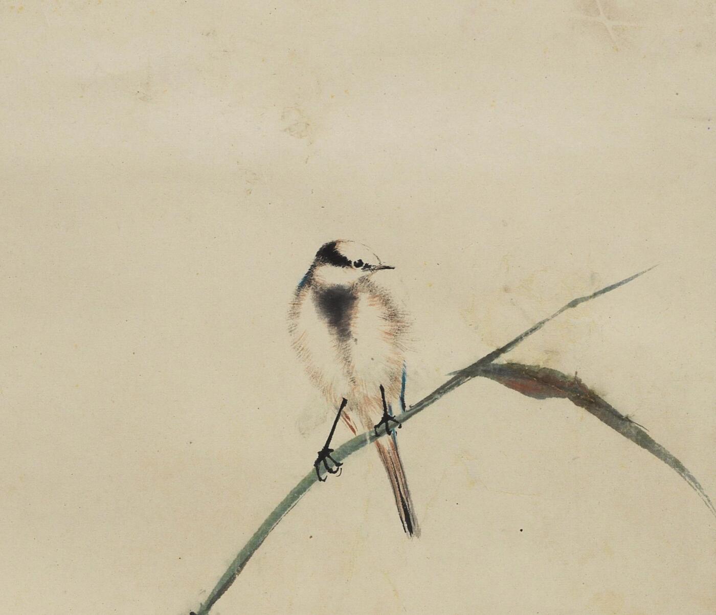 碧月说宝 近现代书画专场（八）