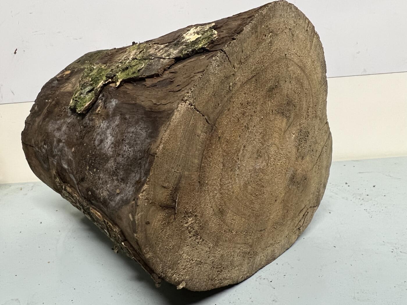 零元拍： 虫花金丝楠（无字天书） 原木 风水柱 横财（材）带皮， 这虫纹的金丝楠 大自然的鬼斧神工啊 画都画不出来，尺寸：47/10CM，抛光后金灿灿满香。