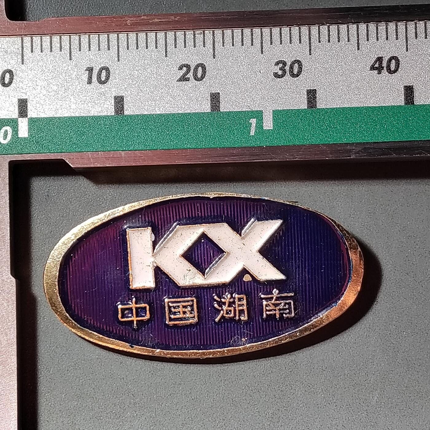 PCAI钱币  3-796 纪念章 钱币小专场 湖南科协