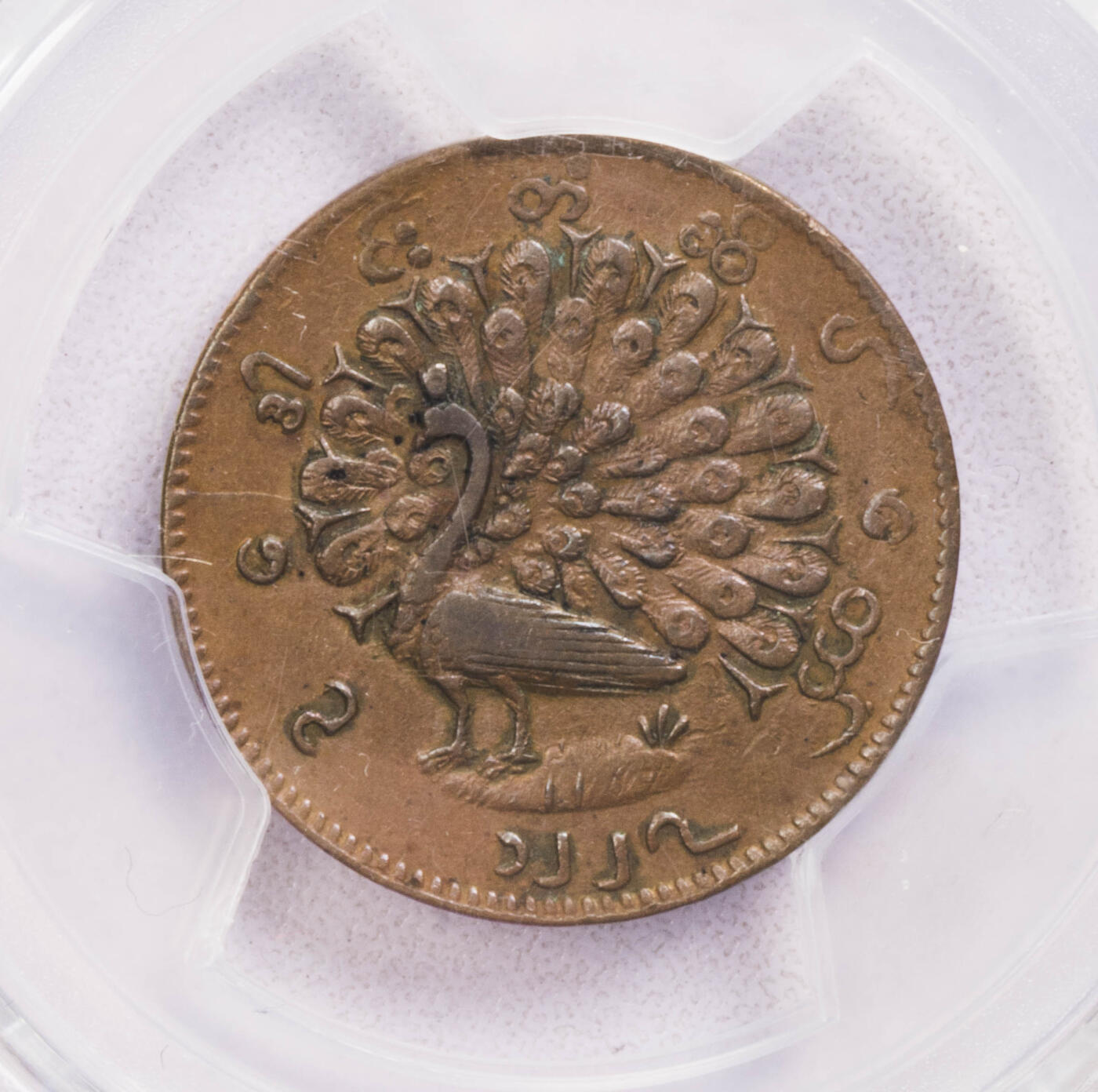 PCGS-XF45 1865缅甸孔雀铜币味道好