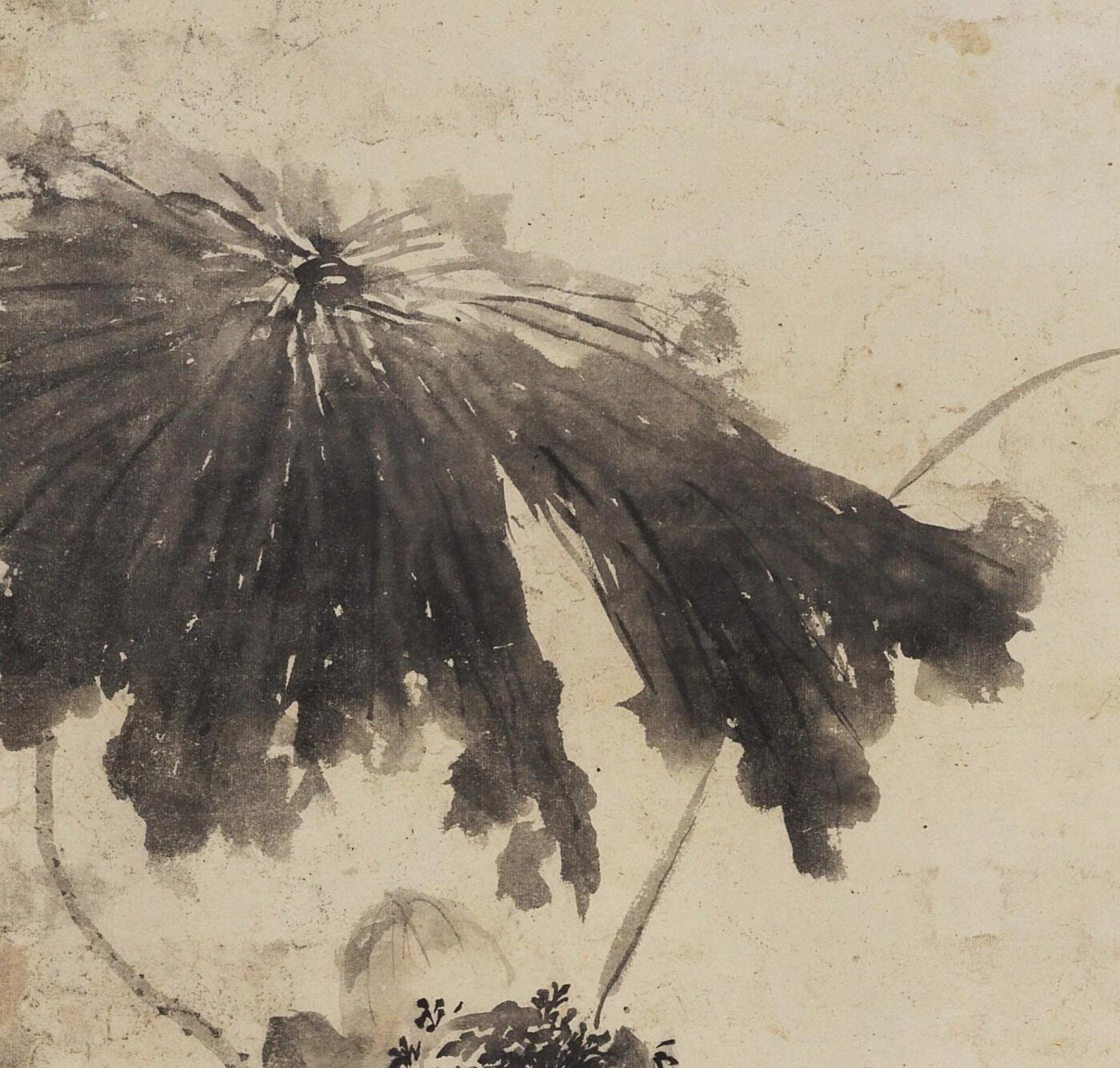 碧月说宝 近现代书画专场（七） 陶寿伯 荷花