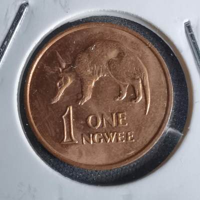 沼泽如烟--第1043场 - 赞比亚1983年1恩韦