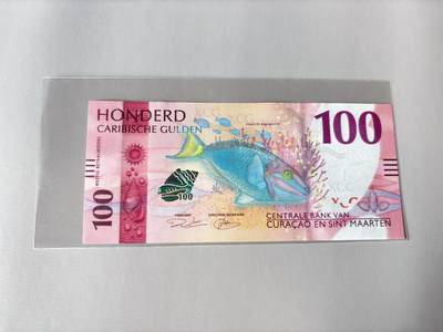 【Blue Auction】世界纸币精拍第803期——18级TOP拍卖/信誉/品质/专业/高效💫 - 库拉索 2025年100盾 全新UNC